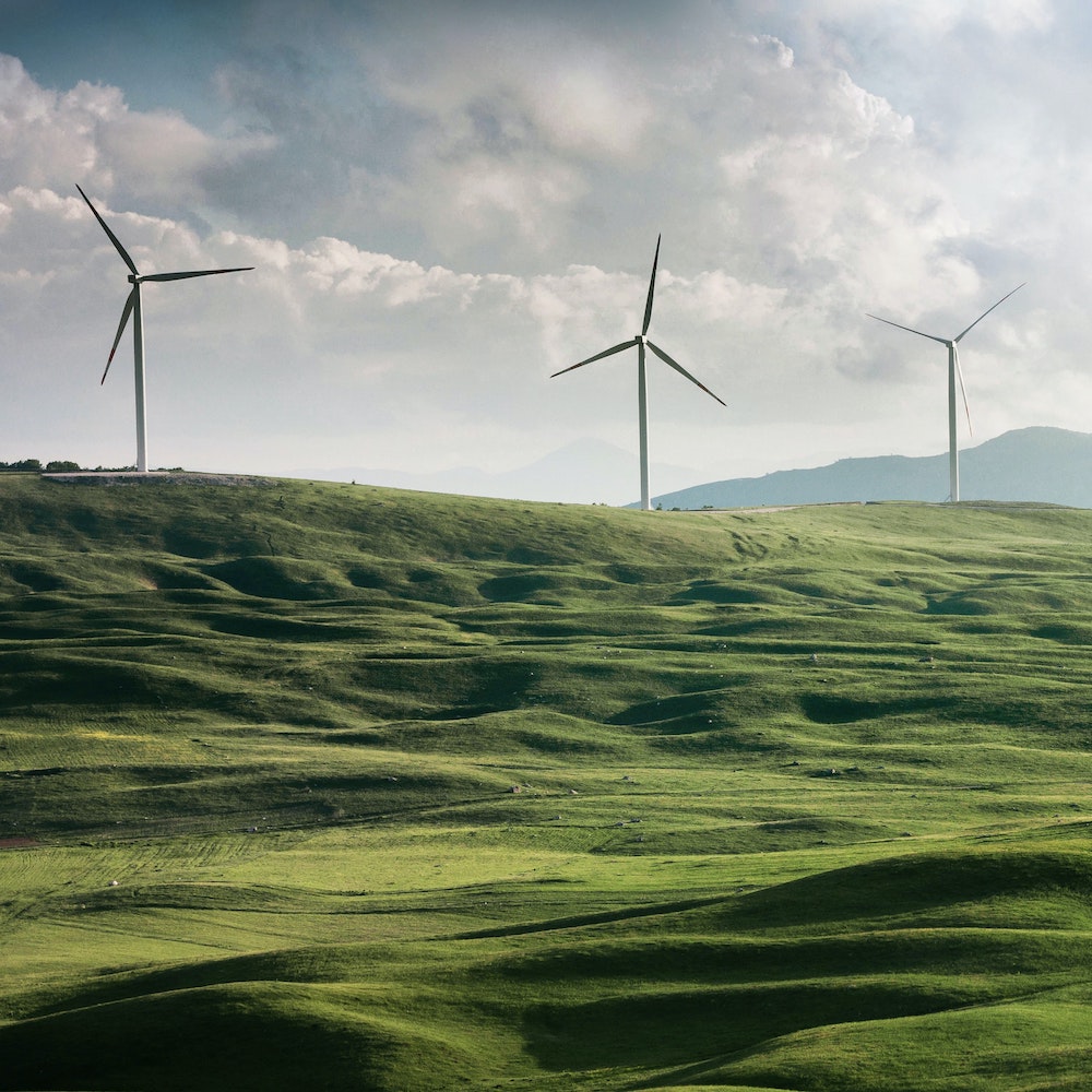 Wind Farm